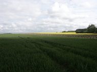 veillaux_environnement005015.jpg